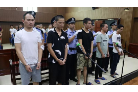 临邑债务清欠服务